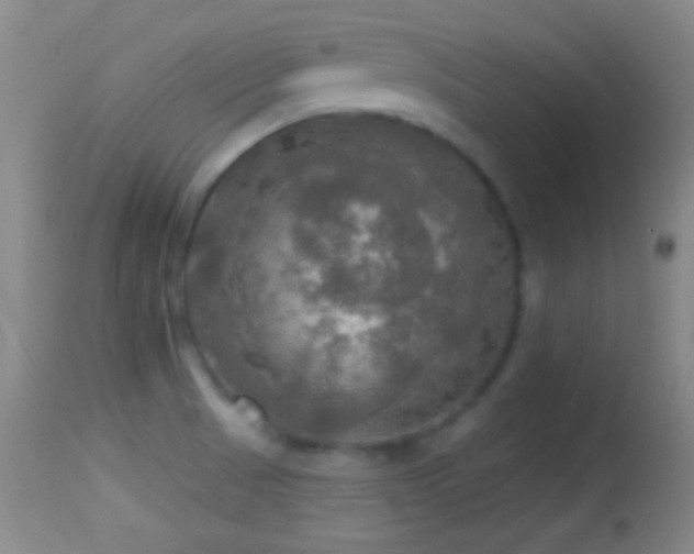 X0000114651521200910201457