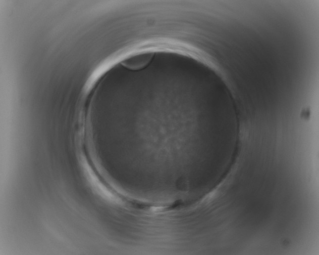X0000114651522200910201457