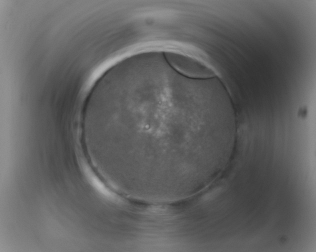 X0000114651523200910201457