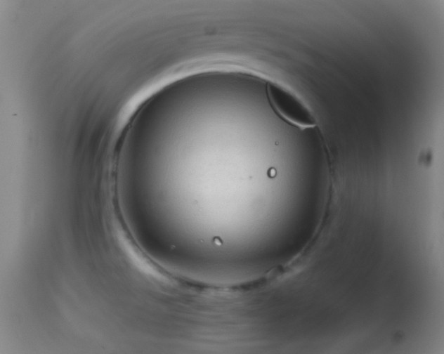 X0000114651526200910201457