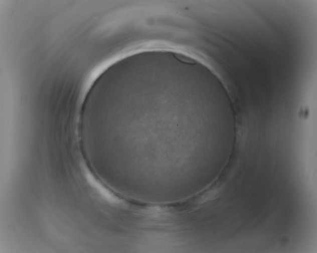 X0000114651527200910201457