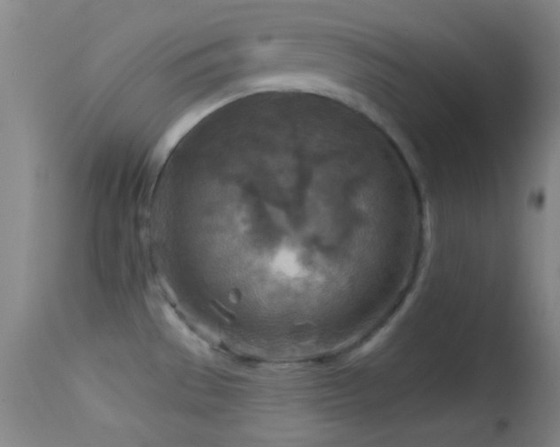 X0000114651529200910201457