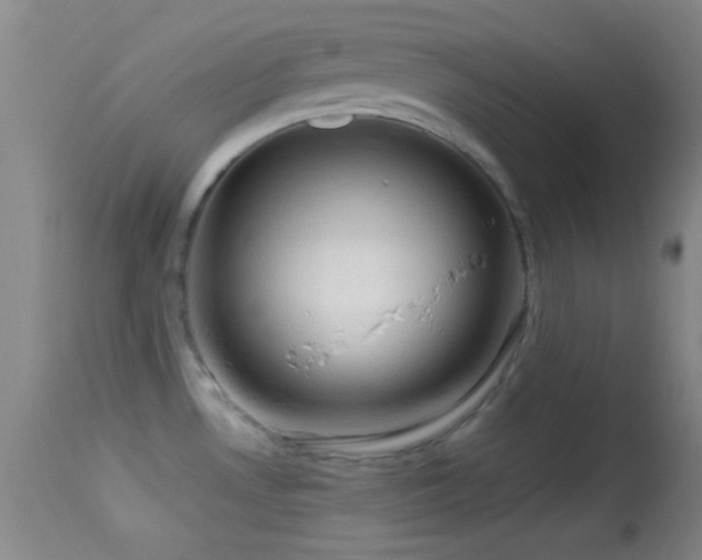 X0000114651530200910201457