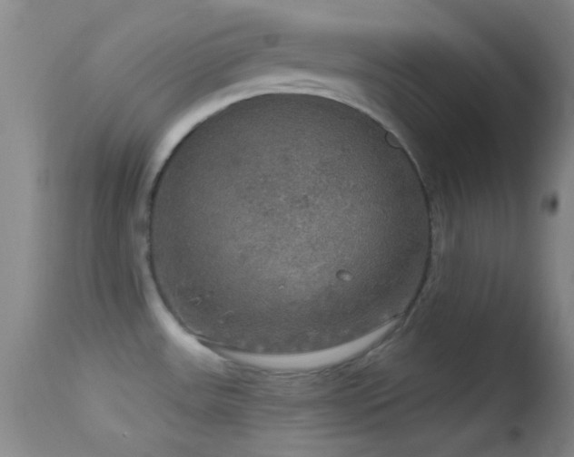 X0000114651531200910201457