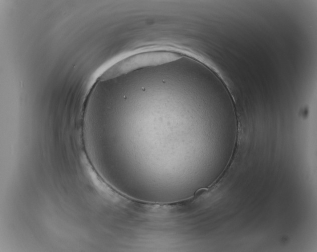 X0000114651534200910201457