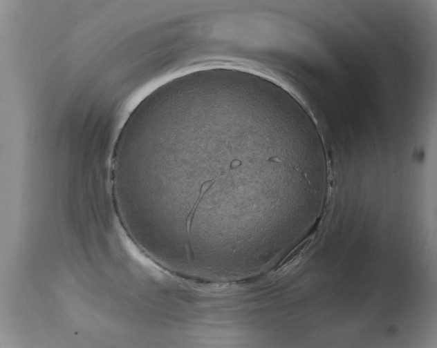 X0000114651535200910201457
