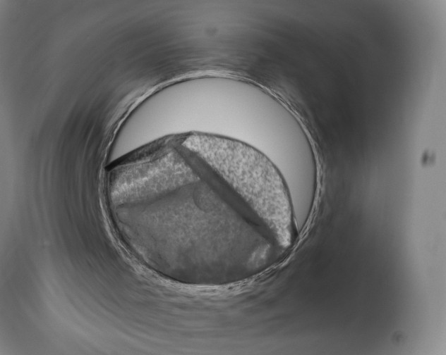 X0000114650001200911101331