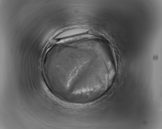 X0000114650002200911101331