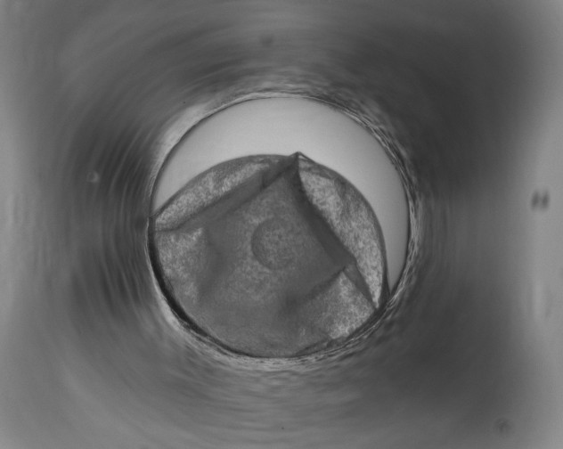 X0000114650003200911101331