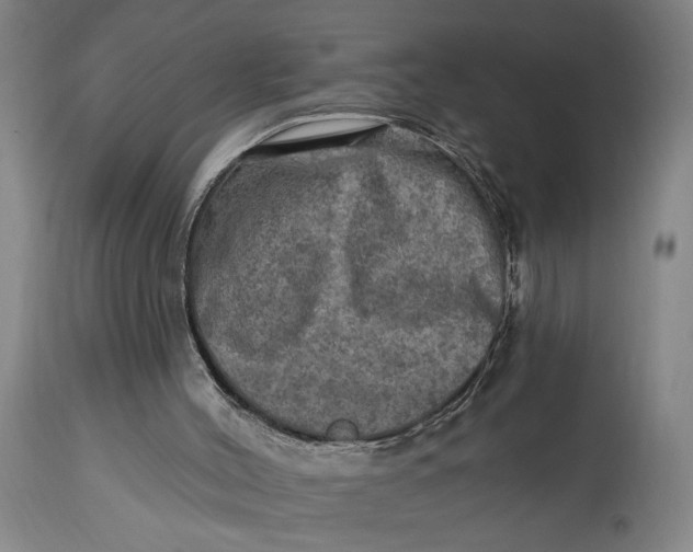 X0000114650004200911101331