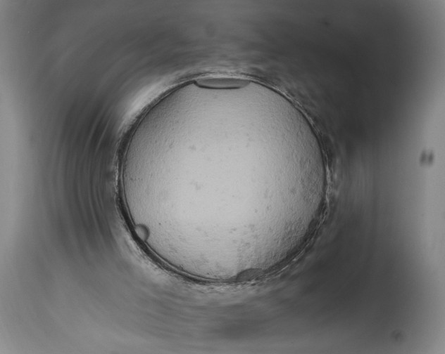 X0000114650005200911101331