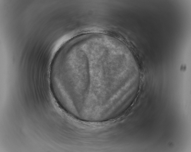 X0000114650006200911101331