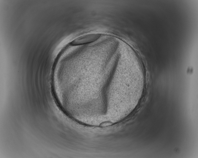 X0000114650007200911101331