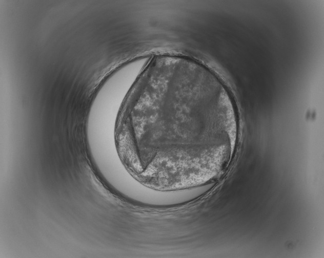 X0000114650009200911101331