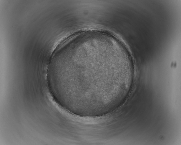 X0000114650010200911101331