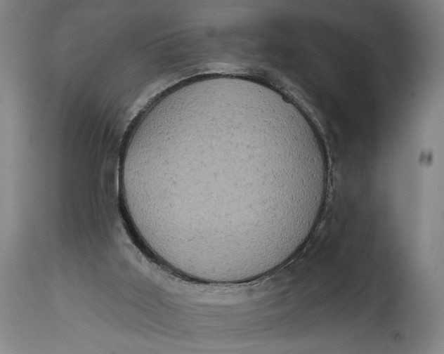 X0000114650011200911101331