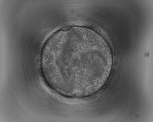 X0000114650012200911101331