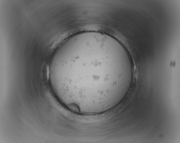 X0000114650013200911101331