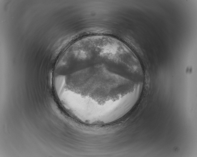 X0000114650014200911101331