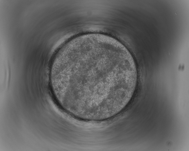 X0000114650016200911101331