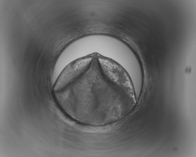 X0000114650017200911101331