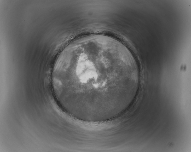 X0000114650018200911101331