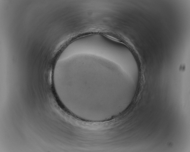 X0000114650019200911101331