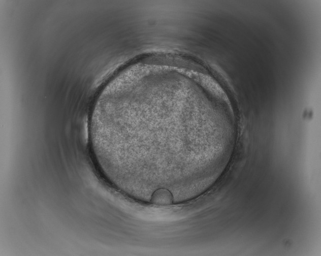 X0000114650020200911101331