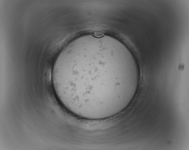 X0000114650021200911101331