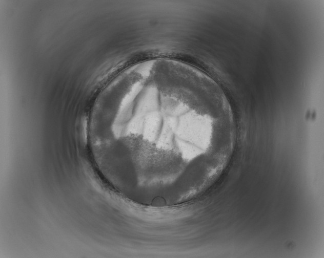 X0000114650022200911101331