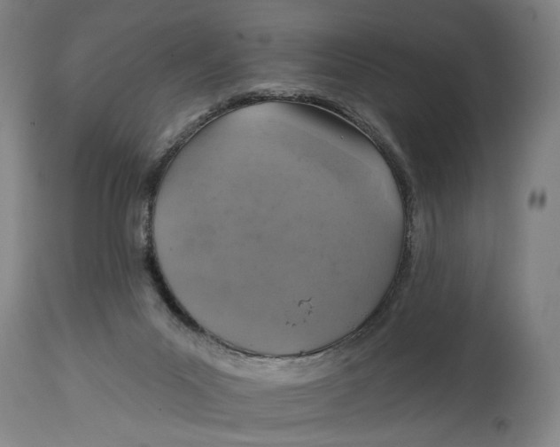 X0000114650023200911101331