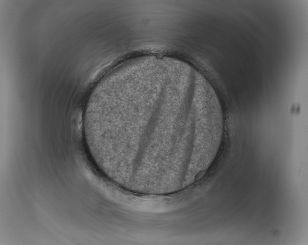 X0000114650024200911101331