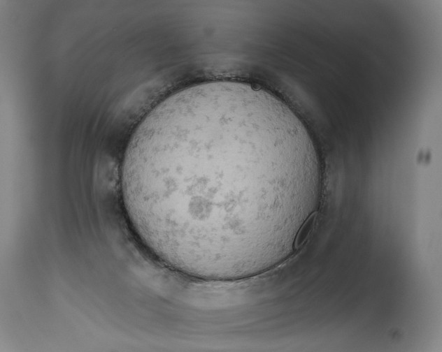 X0000114650025200911101330