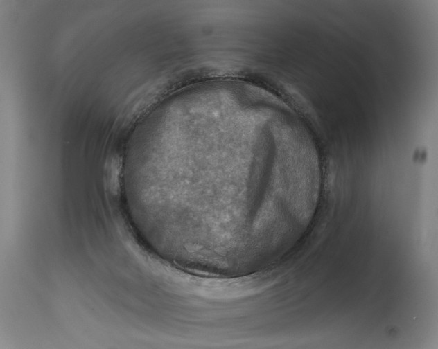 X0000114650026200911101330