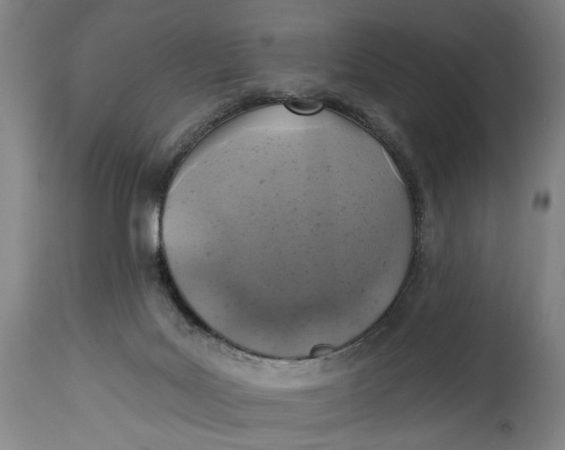 X0000114650027200911101330