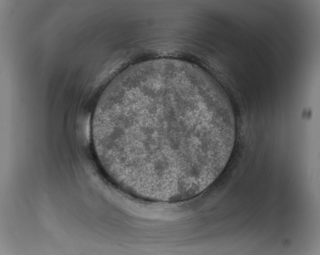 X0000114650028200911101330