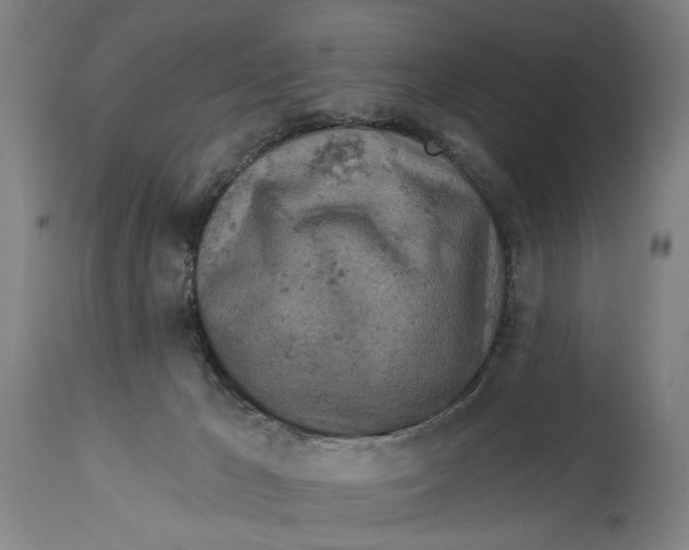 X0000114650029200911101330