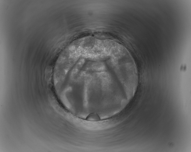 X0000114650030200911101330