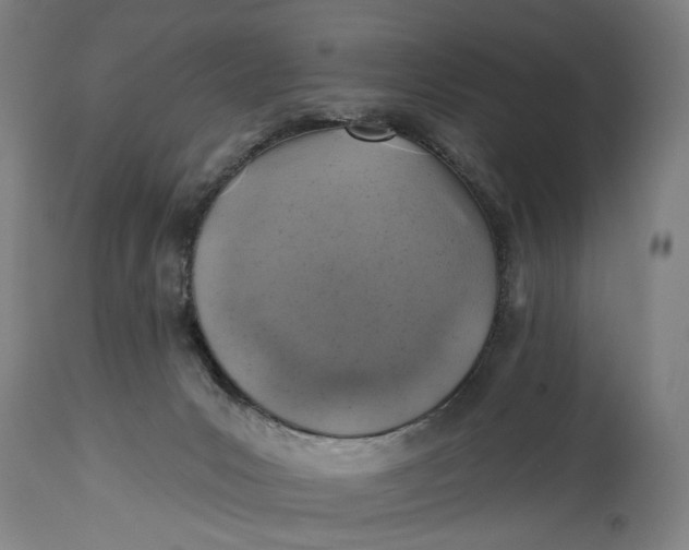 X0000114650031200911101330