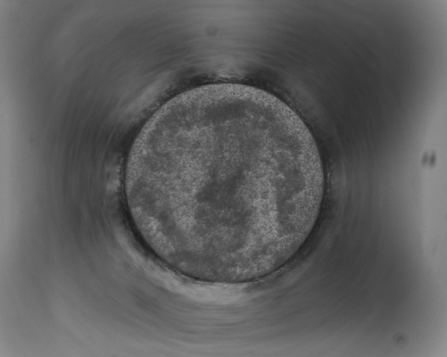 X0000114650032200911101330