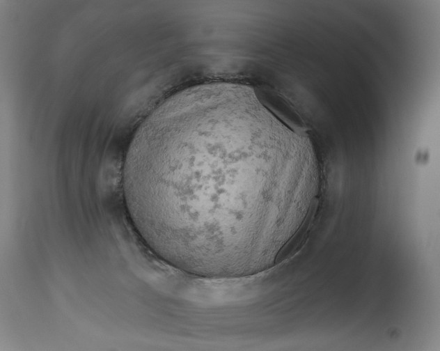 X0000114650033200911101330