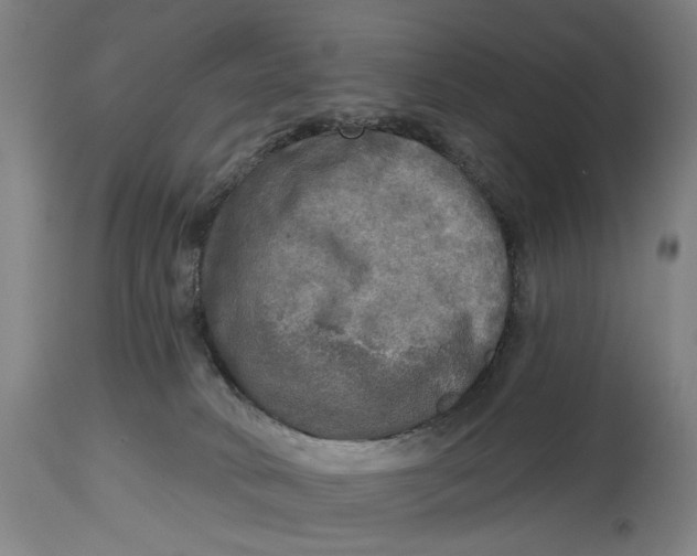 X0000114650034200911101330