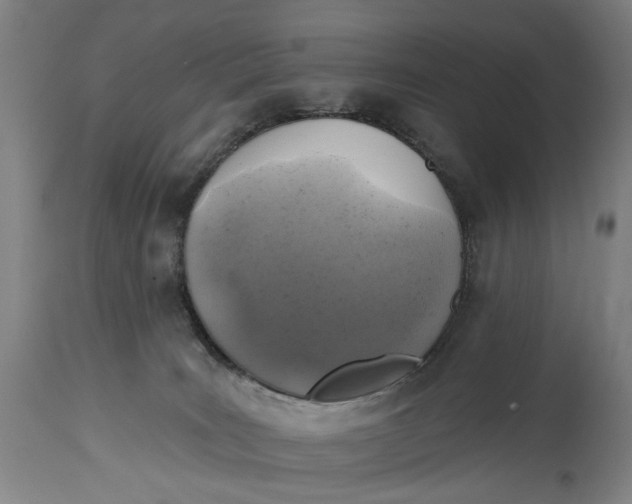 X0000114650035200911101330