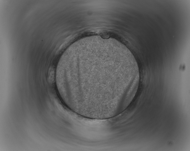 X0000114650036200911101330