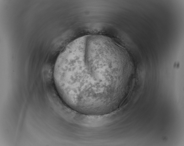 X0000114650037200911101330