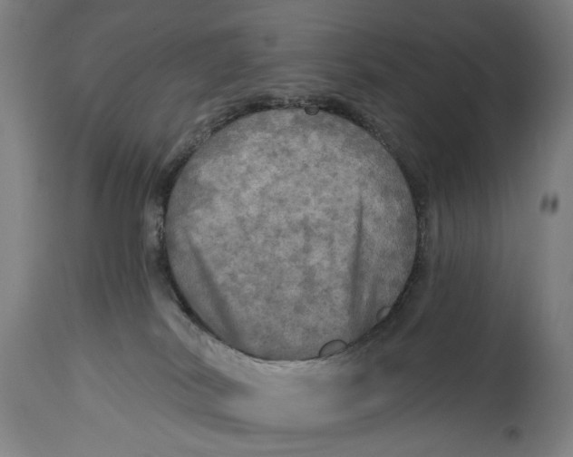 X0000114650038200911101330