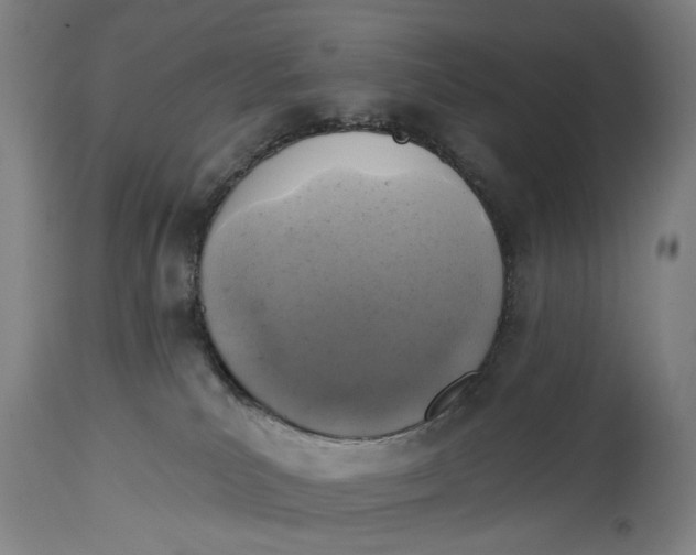 X0000114650039200911101330