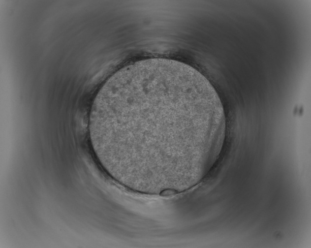 X0000114650040200911101330