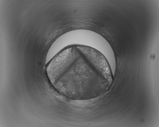 X0000114650041200911101330