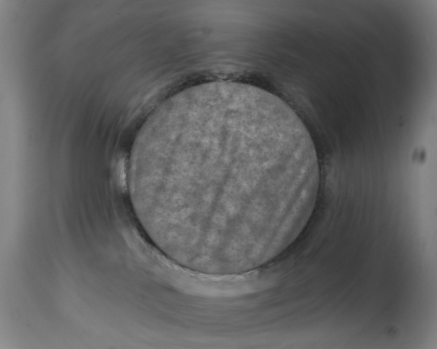 X0000114650042200911101330